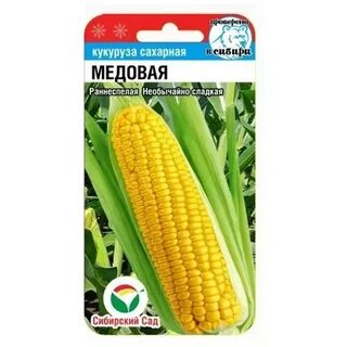 Кукуруза Медовая 6шт Сиб сад