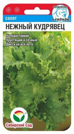 Салат Нежный кудрявец 0,5гр Сиб сад