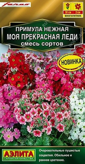 Примула Моя прекрасная леди смесь многолетник 7шт Аэлита