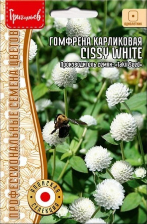 Гомфрена шаровидная Cissy white компактная 4шт Ред.Сем