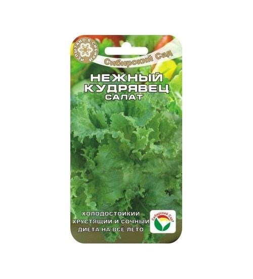 Салат Нежный кудрявец 0,5гр Сиб сад