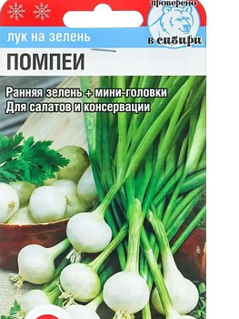 Лук на зелень Помпеи 0,5гр Сиб сад
