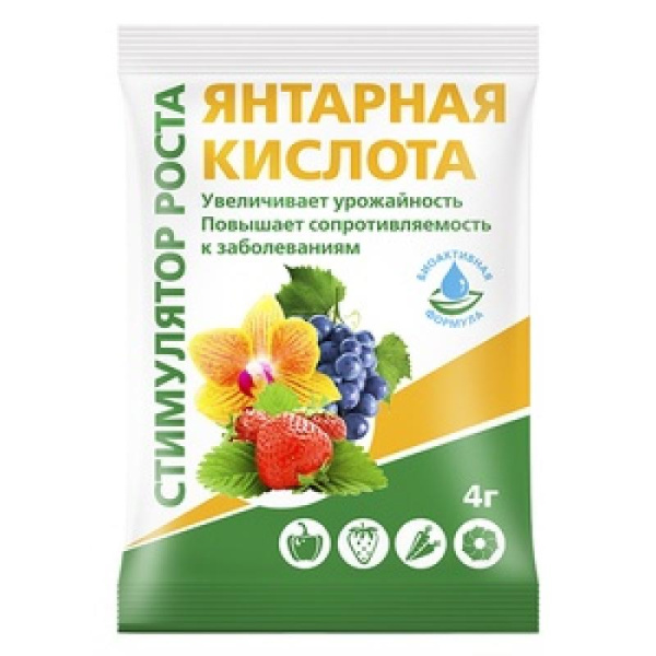 Янтарная кислота 4гр БиоМастер