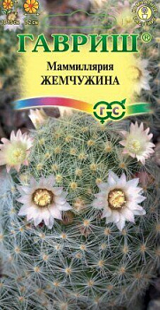 Маммиллярия Жемчужина кактус 2шт Гавриш
