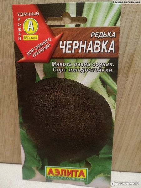 Редька Чернавка 1гр Аэлита
