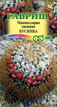 Маммиллярия Бусинка кактус 2шт Гавриш