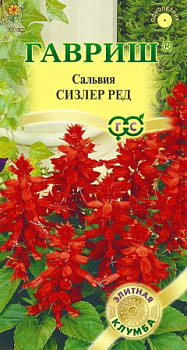 Сальвия Сизлер Ред элит.клумба 4шт Гавриш