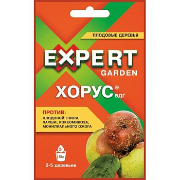 Хорус 2гр ЭГ