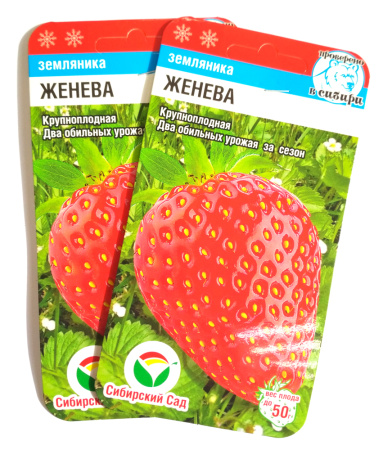Земляника Женева 10шт Сиб сад