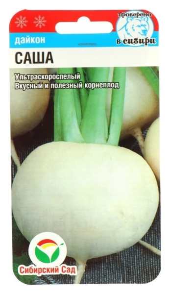 Дайкон Саша 1гр Сиб сад