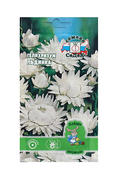 Семена Цветок Гелихризум "Льдинка "0.1 г 9428335