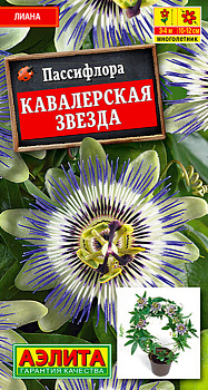 Пассифлора Кавалерская звезда 5шт Аэлита